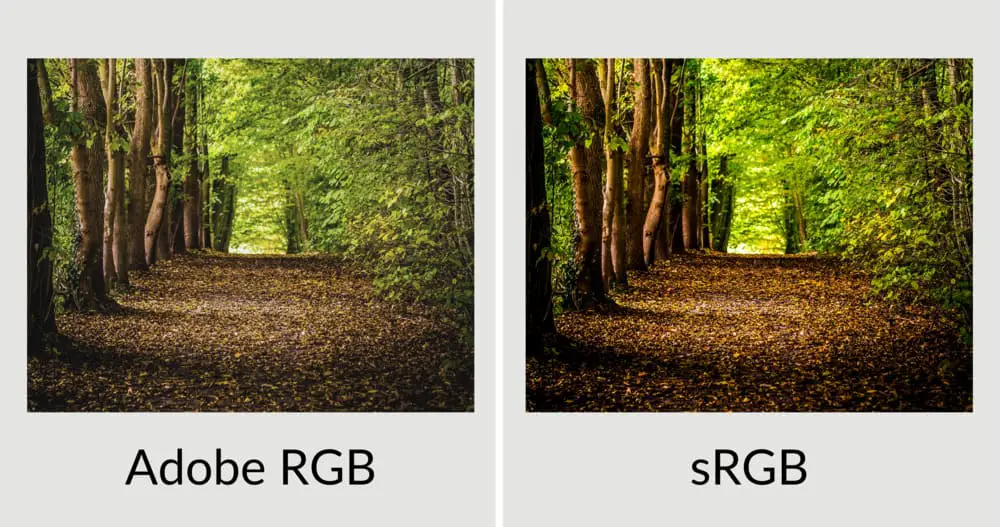 El espacio o rango de color sRGB es mejor que Adobe RGB para la web o Internet